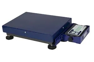 Весы напольные мобильные Mas Pm1B-150 м 4050 – купить в Челябинске по цене завода