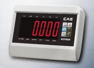 Индикатор Cas Dh – купить в Челябинске по цене завода