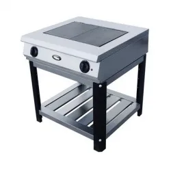 Купить плита электрическая grill master ф2жтлпэ в Челябинске – цена завода, доставка до двери | RuOborudovanie.ru