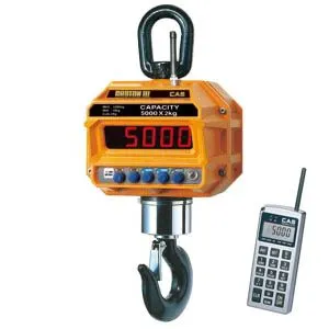 Весы крановые Cas 10 THD TW-100 с пультом ДУ (10т/5кг) – купить в Челябинске по цене завода