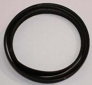 Ремень Electrolux Professional для Mypro 1323531200