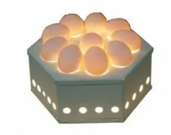 Купить овоскоп итерма (iterma) egg10 в Челябинске – цена завода, доставка до двери | RuOborudovanie.ru