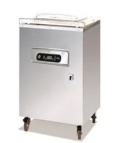 Упаковщик вакуумный Apach Avm425F с газацией – купить по цене завода