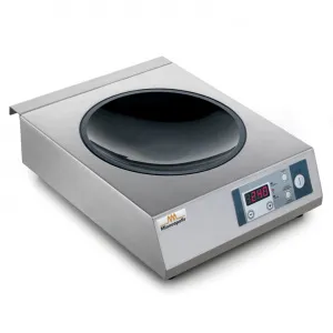 Плита индукционная Minneapolis Ih 35 Wok 3,5 Kw – купить в Челябинске по цене завода