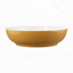 Купить салатник seltmann weiden life amber gold 65015 25 см 001.757423 в Челябинске – цена завода, доставка до двери | RuOborudovanie.ru