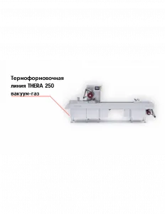 Термоформовочная линия THERA 250 вакуум-газ – купить в Челябинске по цене завода