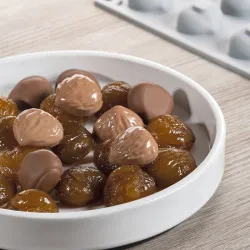 Купить форма силиконовая "gourmand орех каштан" 31х27мм h16мм, 6мл, 24 ячейки gg011s в Челябинске – цена завода, доставка до двери | RuOborudovanie.ru