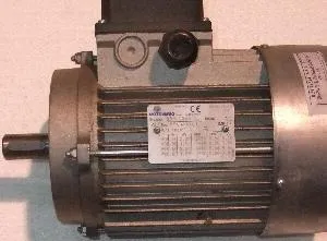 Двигатель тестомеса Gam S40/50 2СКОР. №48 Rimps4048Tr2V