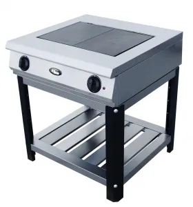 Плита 2 конфорочная Grill Master ф2жтлпэ 24010 – купить в Челябинске по цене завода