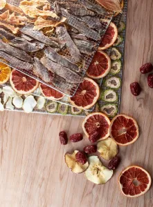 Дегидратор Kocateq DHFD16 для овощей с 16 уровнями 39,6х39,6см (сушилка) – купить в Челябинске по цене завода