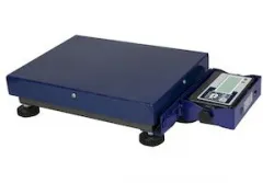 Весы напольные мобильные Mas Pm1B-150 м 4050 – купить в Челябинске с доставкой Купить весы напольные мобильные mas pm1b-150 м 4050 в Челябинске – цена завода, доставка до двери | RuOborudovanie.ru