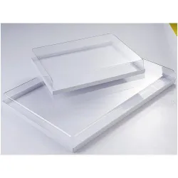 Купить поднос 59х39см h6см, пластик, с прозрачной крышкой vc60x40 – цена от завода, доставка до двери | RuOborudovanie.ru