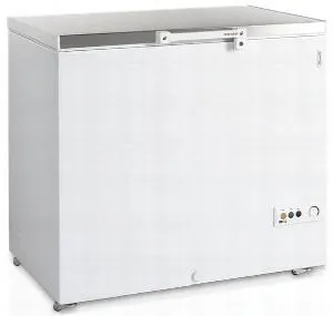 Ларь морозильный Tefcold FR305S SL крышка нерж.сталь – купить в Челябинске по цене завода