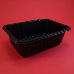 Купить контейнер под запайку pp 187x137x63 черный, 480 шт в Челябинске – цена завода, доставка до двери | RuOborudovanie.ru