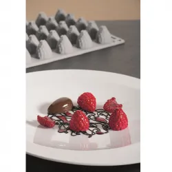 Купить форма силиконовая "gourmand ягода" d24мм h27мм, 7мл, 35 ячеек gg017s в Челябинске – цена завода, доставка до двери | RuOborudovanie.ru