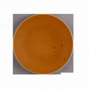 Тарелка плоская Country Life Terracotta 16,5 СМ м5380-16,5 – купить по цене завода