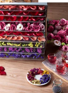 Дегидратор Kocateq DHFD10 для овощей с 10 уровнями 39,6*39,6см (сушилка) – купить в Челябинске по цене завода