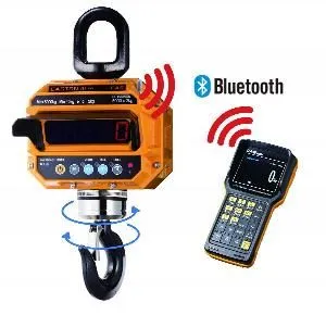 Весы крановые Cas 10 THD TWN (10т/5кг) IP65 электронные – купить в Челябинске по цене завода
