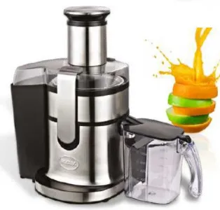 Соковыжималка RGV Industrial Juicer Mc4 арт.218540 – купить по цене завода