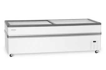 Ларь-бонета СНЕЖ BONVINI BF 2500L (серая) – купить в Челябинске по цене завода