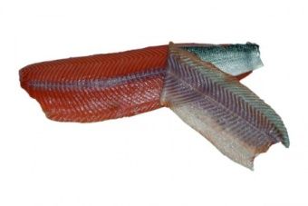 Шкуросъёмная машина для рыбы Nock Cortex CBF 496 SALMON – купить в Челябинске по цене завода