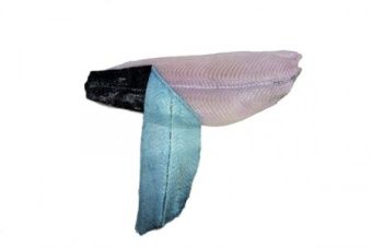 Шкуросъёмная машина для рыбы Nock Skinex SBW 496 WHITE FISH – купить в Челябинске по цене завода